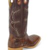 Men Boots Belly Caiman Tail Pecan Signature