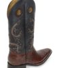 Men Boots Belly Caiman Tail Brown