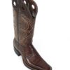 Men Boots Caiman Brown