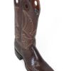 Men Boots Lizard Teju Brown