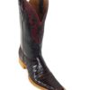 Men Boots Belly Caiman Tail Black Cherry