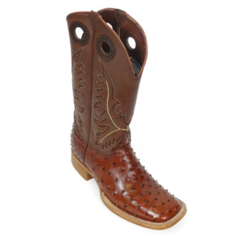 Men Boots Ostrich Cognac CC