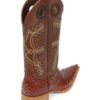 Men Boots Ostrich Cognac CC