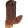 Men Boots Ostrich Cognac CC