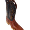 Men Boots Ostrich Cognac CC