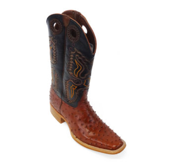 Men Boots Ostrich Cognac CC