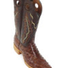 Men Boots Ostrich Kango Tabac CC